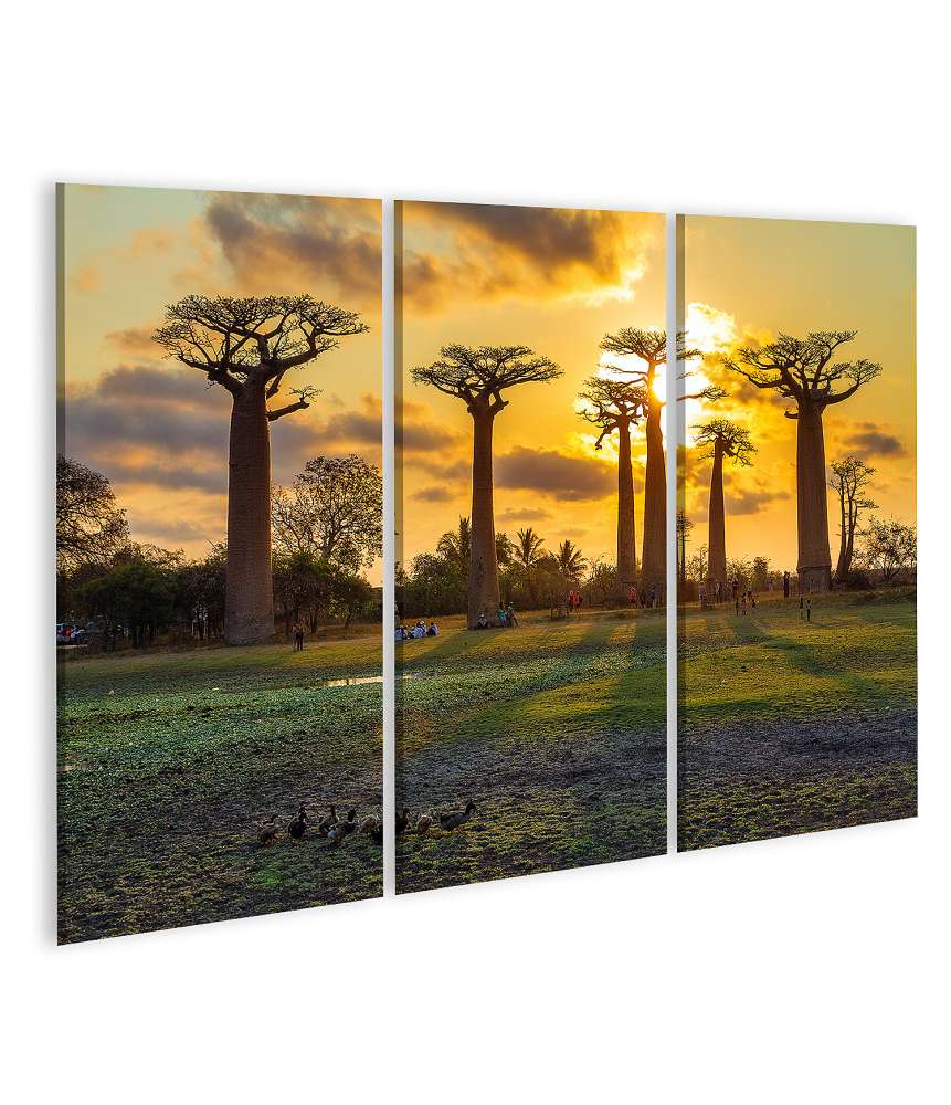 Islandburner Bild auf Leinwand Atemberaubende Baobab-Allee bei Sonnenuntergang in Madagaskar