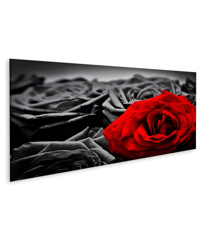 Islandburner Bild auf Leinwand Romantische Wandbild-Grußkarte mit roter Rose für Valentins- oder Muttertag