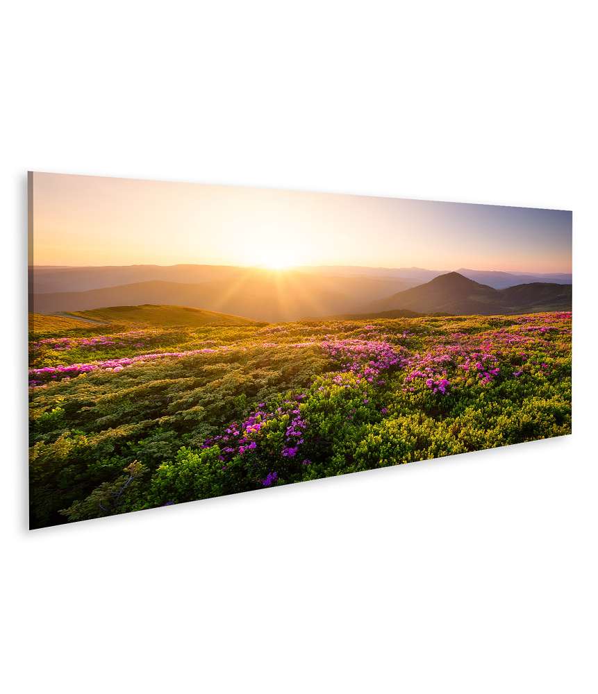 Islandburner Bild auf Leinwand Sonnenaufgang über blühenden Blumen und Berghügeln in natürlicher Landschaft