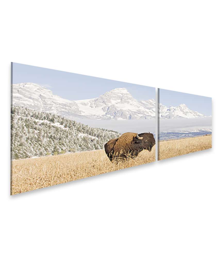 Islandburner Bild auf Leinwand Majestätisches Wandbild eines Bisons vor den Grand Teton Bergen