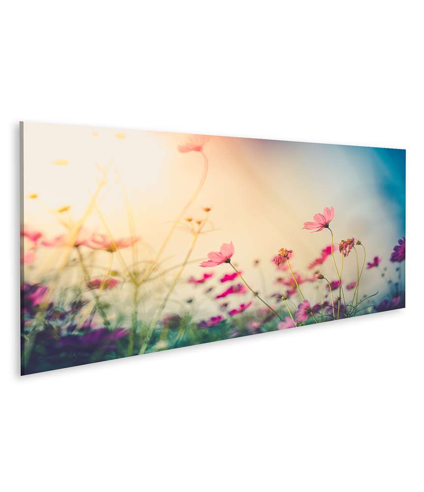 Islandburner Bild auf Leinwand Wundervolles Wandbild eines Gartens voller farbenfroher Cosmos-Blumen