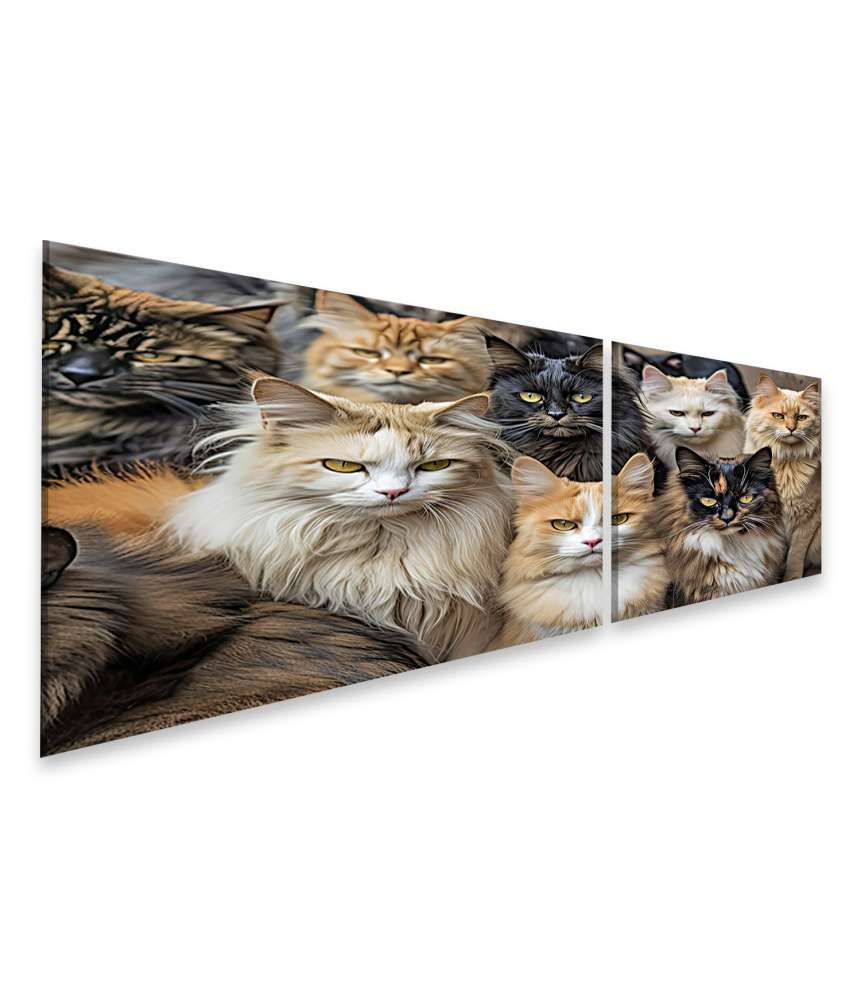 Islandburner Bild auf Leinwand Vielfältiges Wandbild mit mehreren Rassen, darunter Maine Coon Katzen