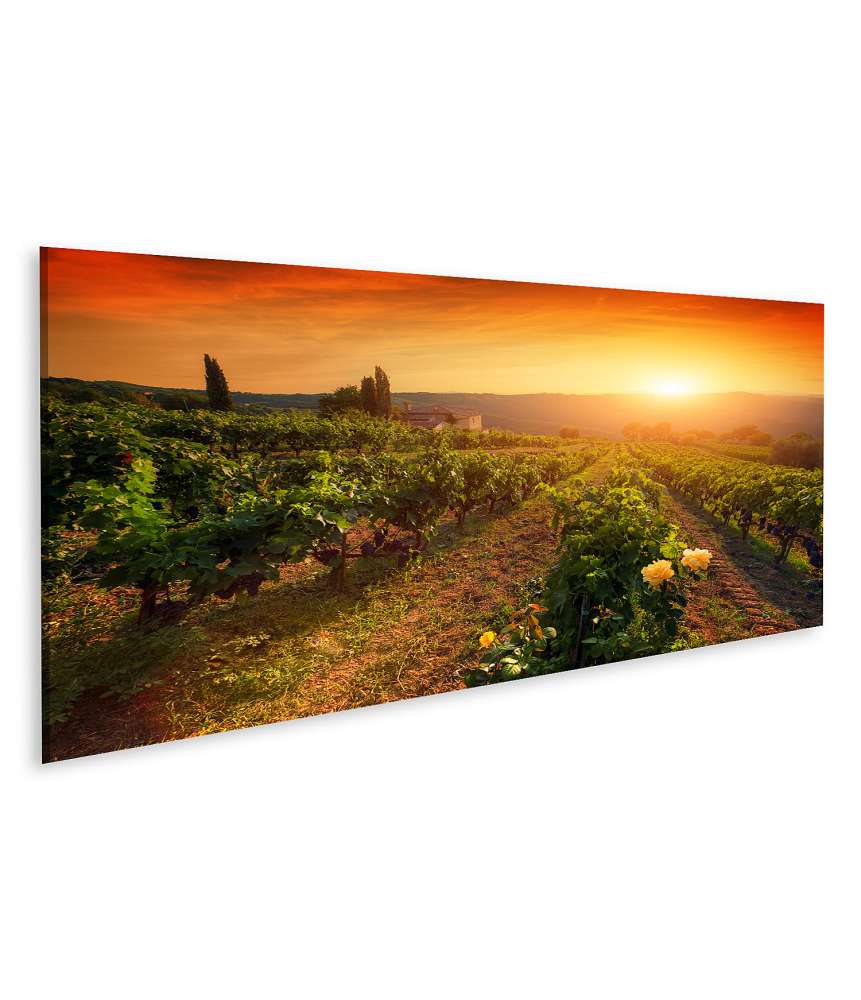 Islandburner Bild auf Leinwand Sonnenuntergang über einem Weingut in der Toskana mit reifen Weintrauben