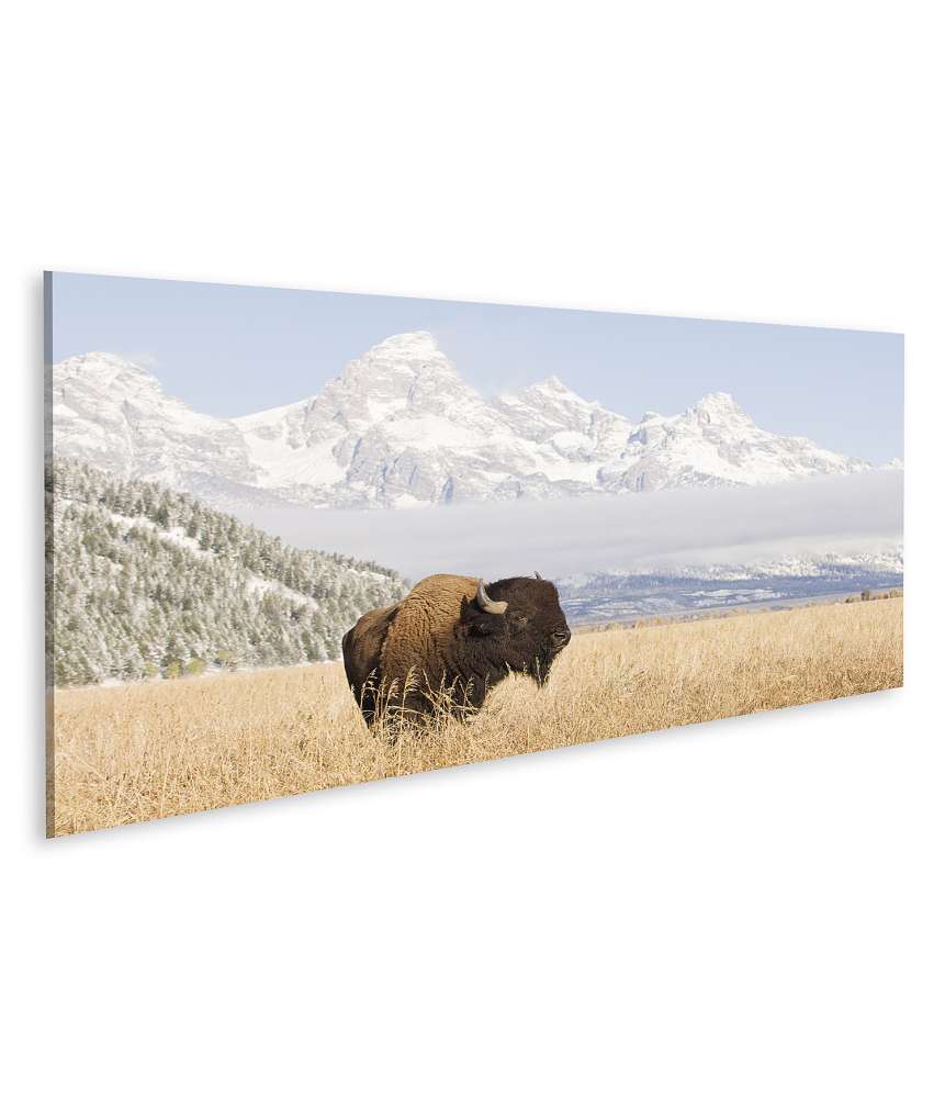 Islandburner Bild auf Leinwand Majestätisches Wandbild eines Bisons vor den Grand Teton Bergen