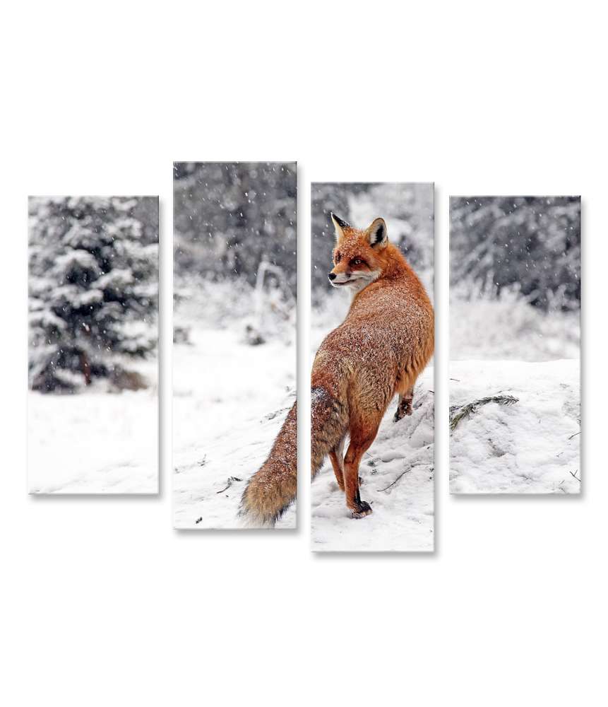 Islandburner Bild auf Leinwand Winterliches Fuchs-Wandbild im Schneewald der Hohen Tatra, Slowakei