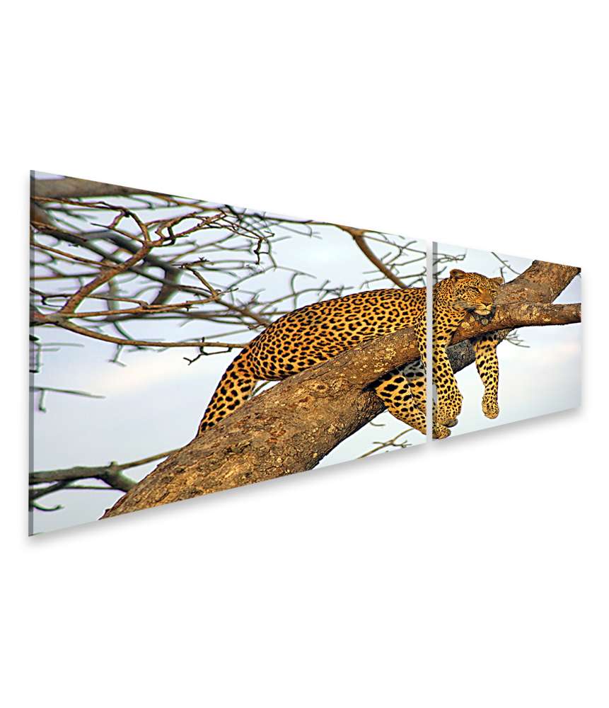 Islandburner Bild auf Leinwand Leopard entspannt faulenzend in eindrucksvollem Wandbild