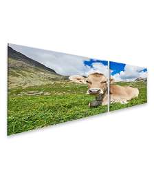 Bild auf Leinwand Braune Kuh auf saftiger grüner Weide dargestellt im Wandbild