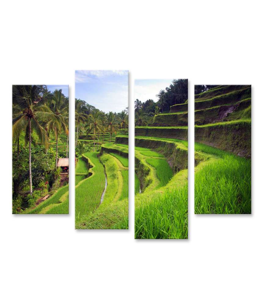 Islandburner Bild auf Leinwand Terrassenförmige Reisfelder in Tegallalang, Ubud, Bali, Indonesien