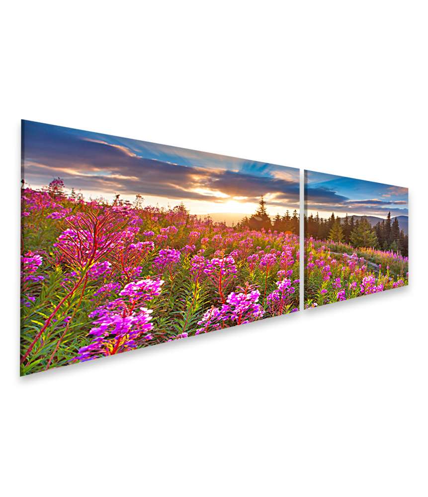 Islandburner Bild auf Leinwand Beeindruckendes Wandbild: Herbstliche Berglandschaft mit rosa Blumen