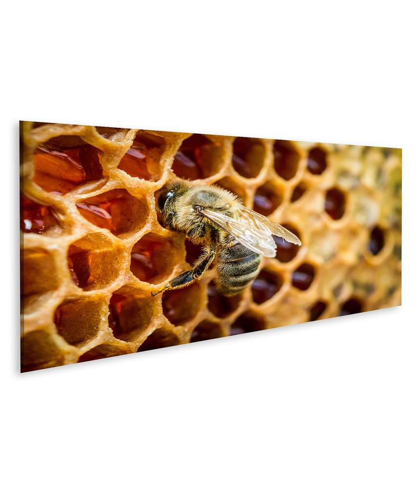 Islandburner Bild auf Leinwand Bienen auf einer Honigwabe