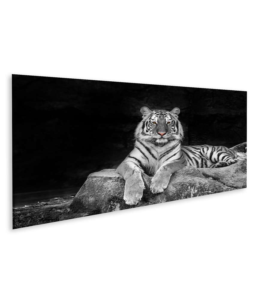 Islandburner Bild auf Leinwand Majestätisches Wandbild eines weißen Tigers in lebhafter Aktion