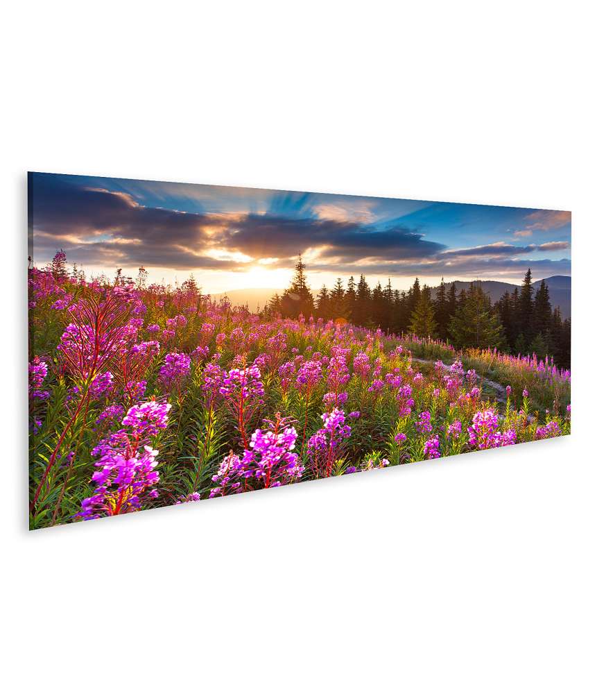 Islandburner Bild auf Leinwand Beeindruckendes Wandbild: Herbstliche Berglandschaft mit rosa Blumen