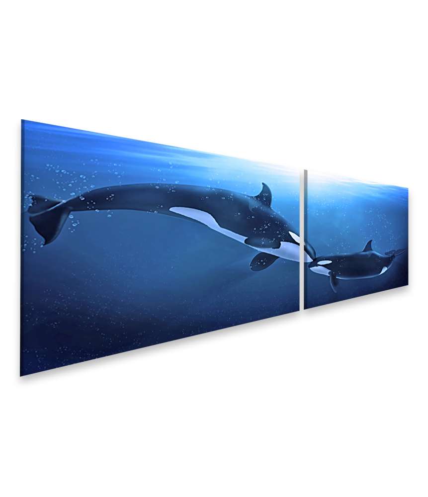 Islandburner Bild auf Leinwand Darstellung sanfter Orcas in liebevoller Interaktion