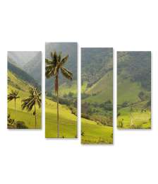 Bild auf Leinwand Malerisches Wandbild mit Wachspalmen im idyllischen Cocora Tal, Kolumbien