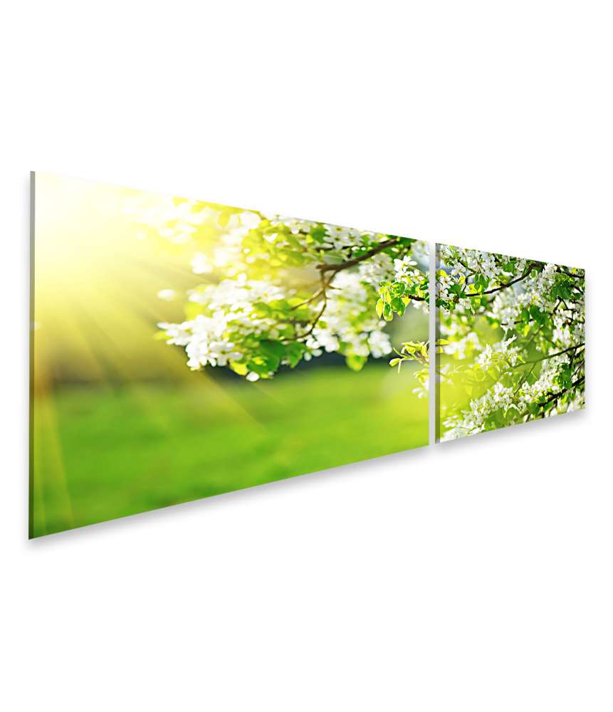 Islandburner Bild auf Leinwand Frühlingsblüte: Naturszene mit blühendem Baum und strahlender Sonne