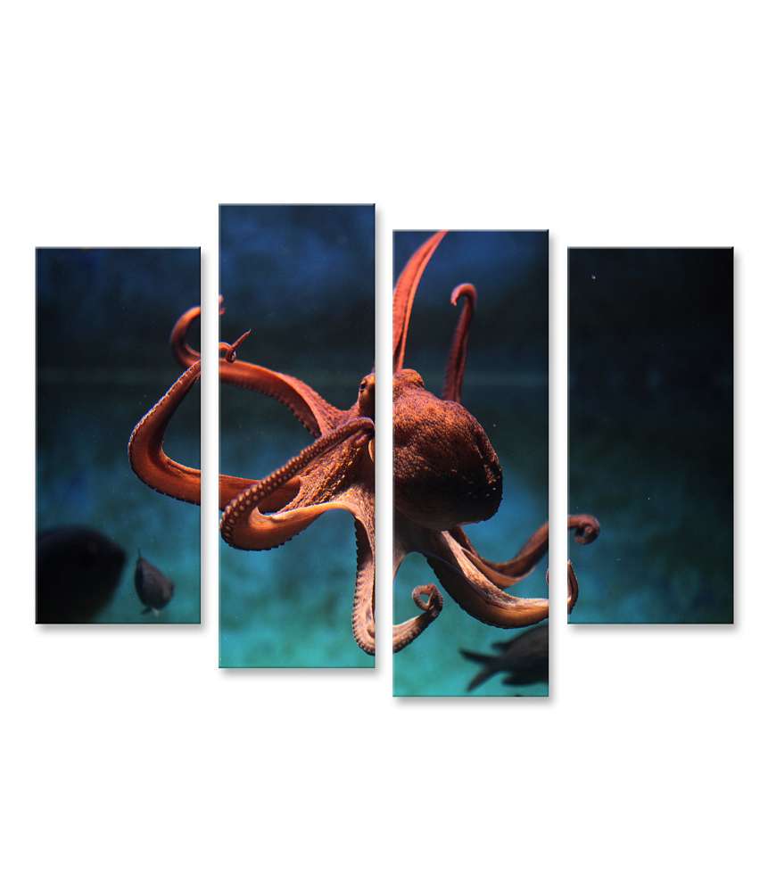 Islandburner Bild auf Leinwand Wildlife-Kunst: Lebensechter Oktopus (Octopus Vulgaris) Wandbild