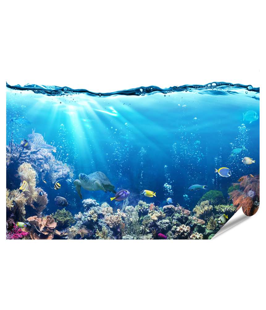 Islandburner XXL Premium Poster Unterwasser-Aquariumhintergrund mit Korallenriff und tropischen Fischen