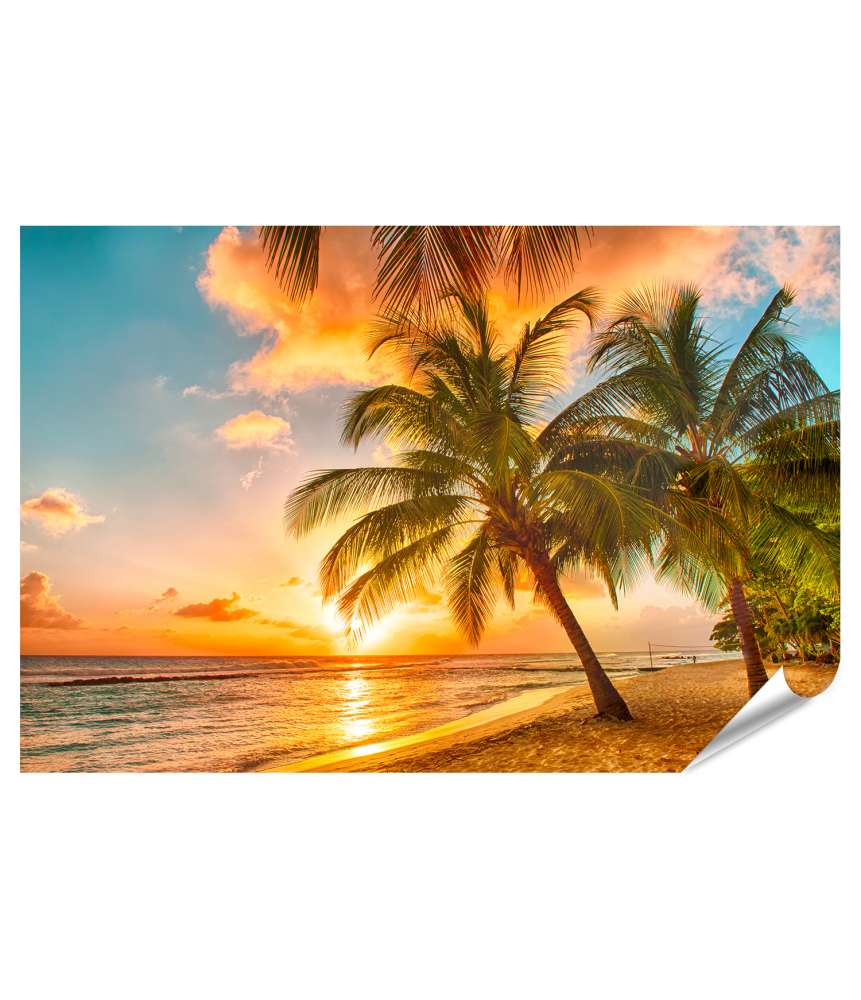 Islandburner XXL Premium Poster Atemberaubender Sonnenuntergang am Meer mit Palmen in der Karibik, Barbados