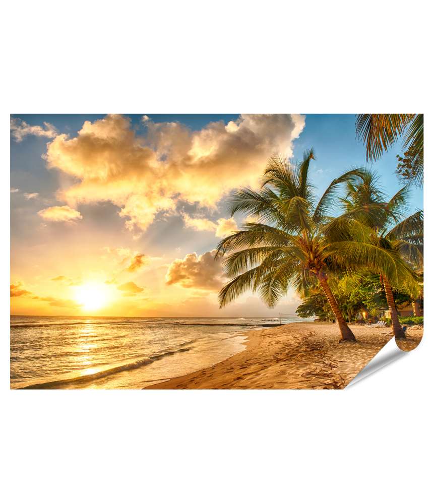 Islandburner XXL Premium Poster Atemberaubender Sonnenuntergang über dem Meer mit Palmen, Barbados, Karibik