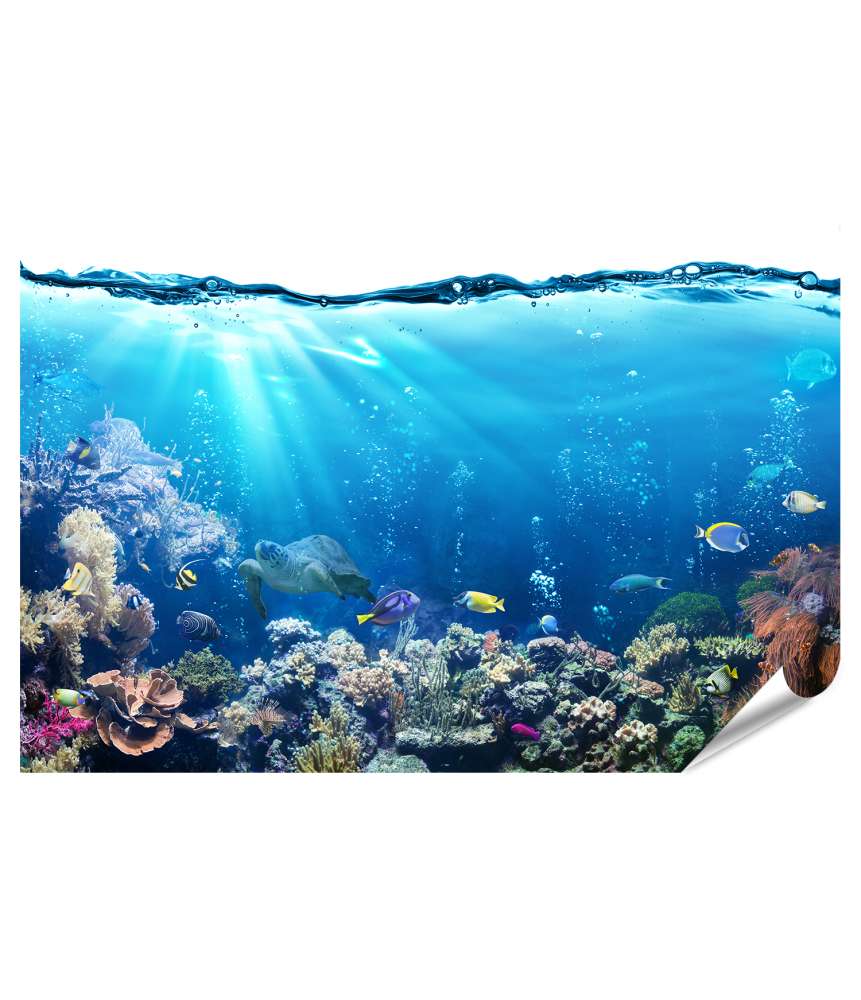 Islandburner XXL Premium Poster Unterwasserlandschaft mit Korallenriff und tropischen Fischen - Wandbild