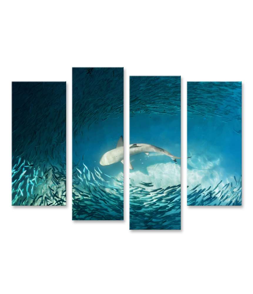 Islandburner Bild auf Leinwand Haie und kleine Fische im natürlichen Ozean-Hintergrund Wandbild