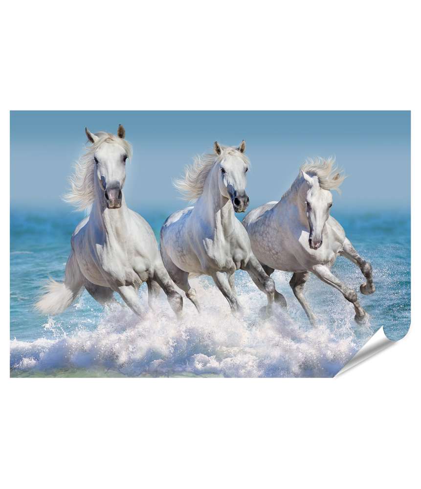 Islandburner XXL Premium Poster Weißes Pferd und Herde am Wasser: Kinderzimmer-Wandbild zum Thema Reiten