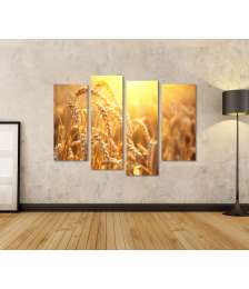 Bild auf Leinwand Nahaufnahme einer reichen Ernte in goldenem Weizenfeld