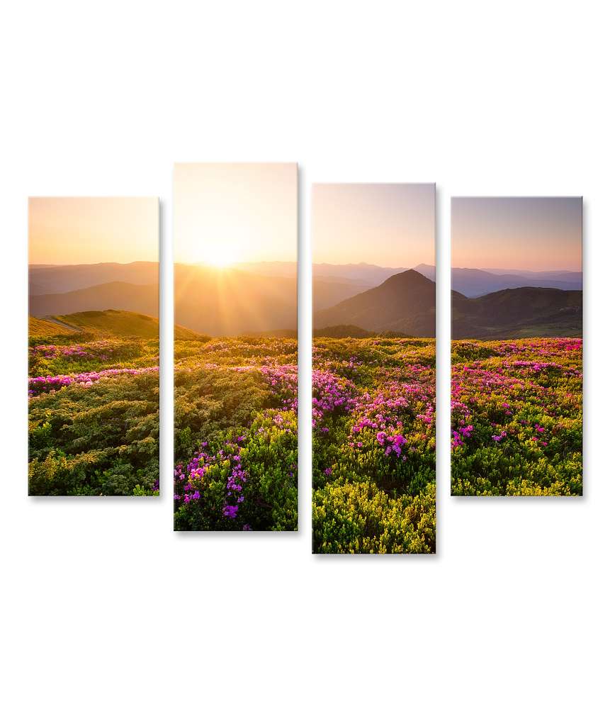 Islandburner Bild auf Leinwand Sonnenaufgang über blühenden Blumen und Berghügeln in natürlicher Landschaft