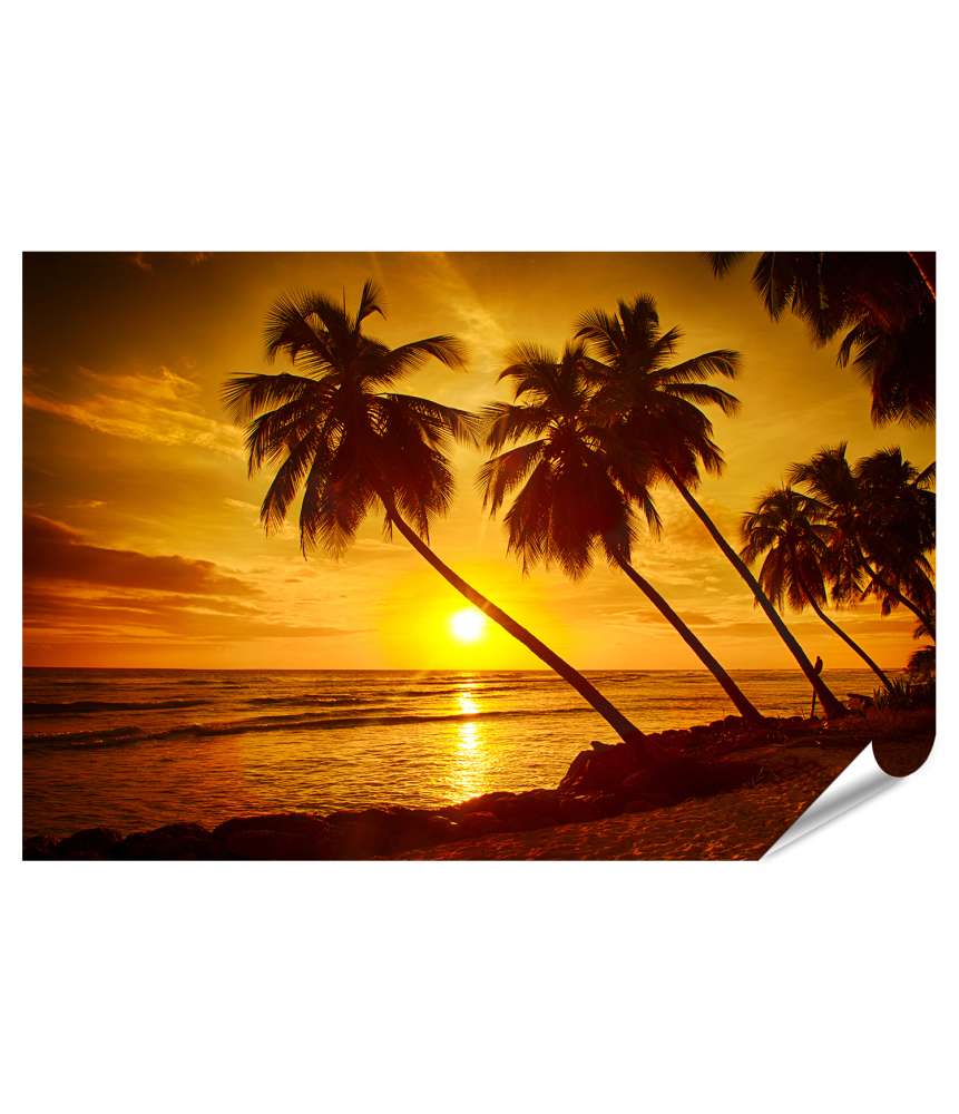 Islandburner XXL Premium Poster Atemberaubender Sonnenuntergang mit Palmen an karibischem Strand auf Barbados