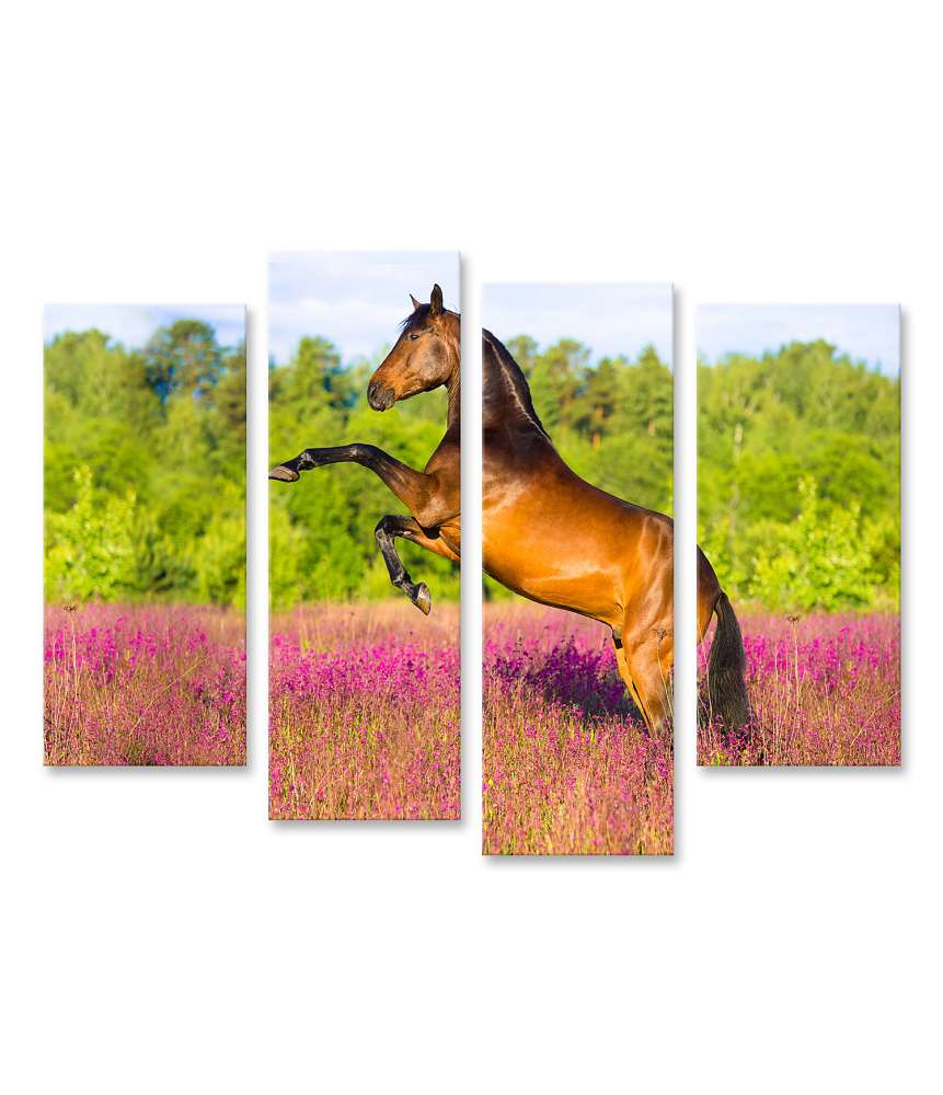 Islandburner Bild auf Leinwand Braunes Pferd majestätisch in einem farbenfrohen Blumenfeld dargestellt