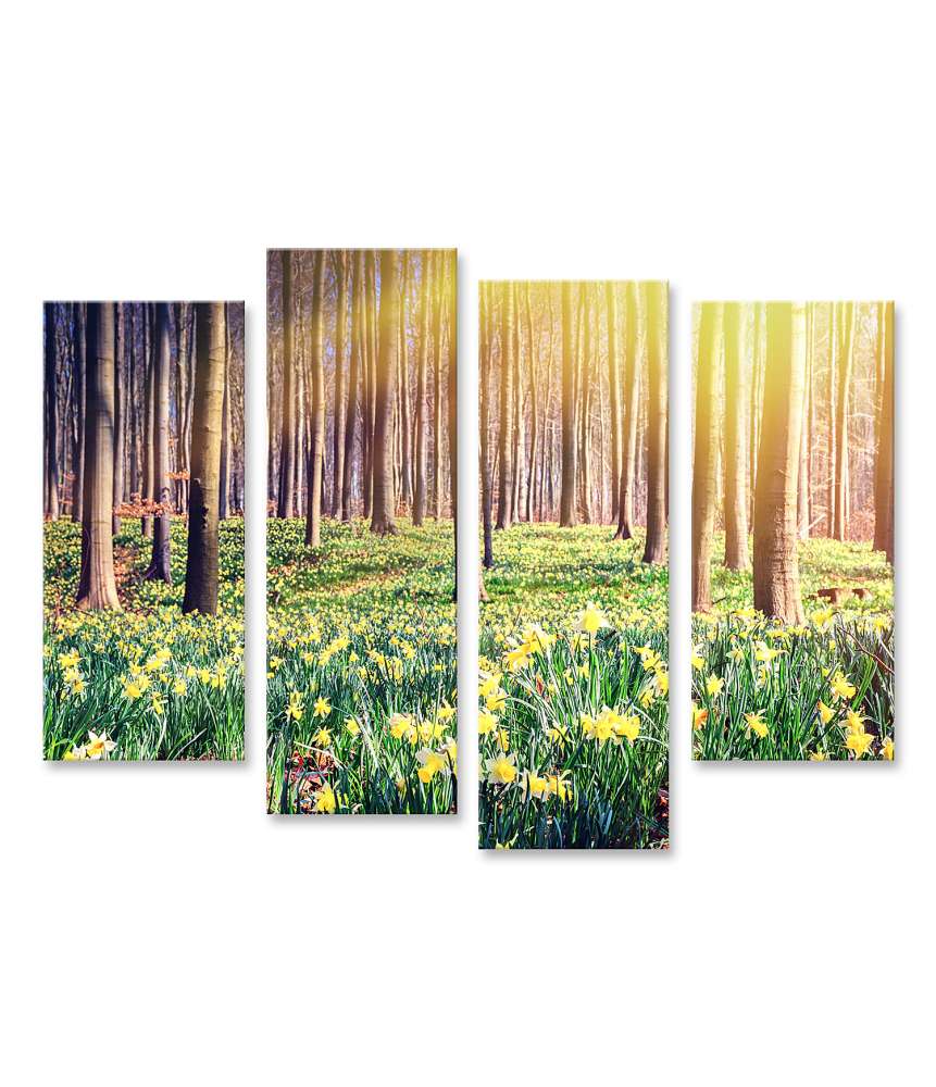 Islandburner Bild auf Leinwand Waldlandschaft im Frühling, übersät mit gelben Narzissen