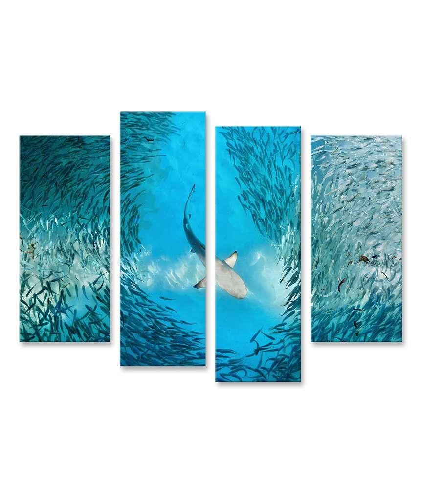 Islandburner Bild auf Leinwand Haifisch und kleine Fische im natürlichen Ozean-Hintergrund