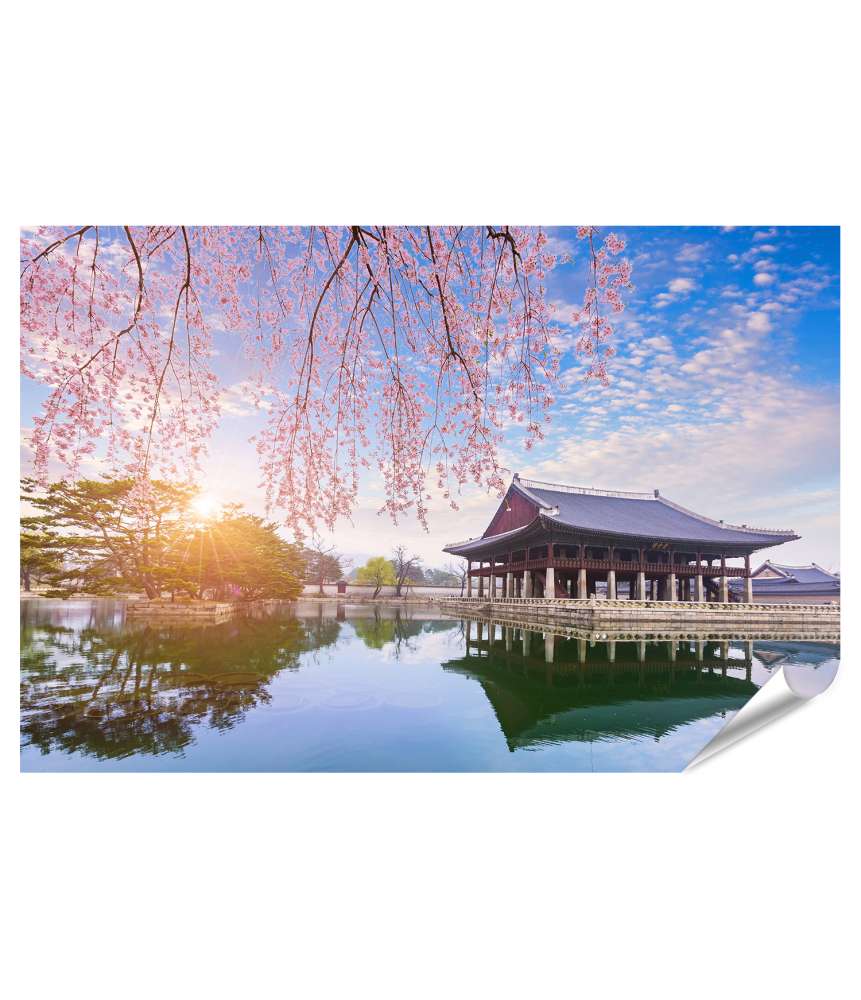 Islandburner XXL Premium Poster Kirschblüten am Gyeongbokgung Palast, Seoul, Südkorea