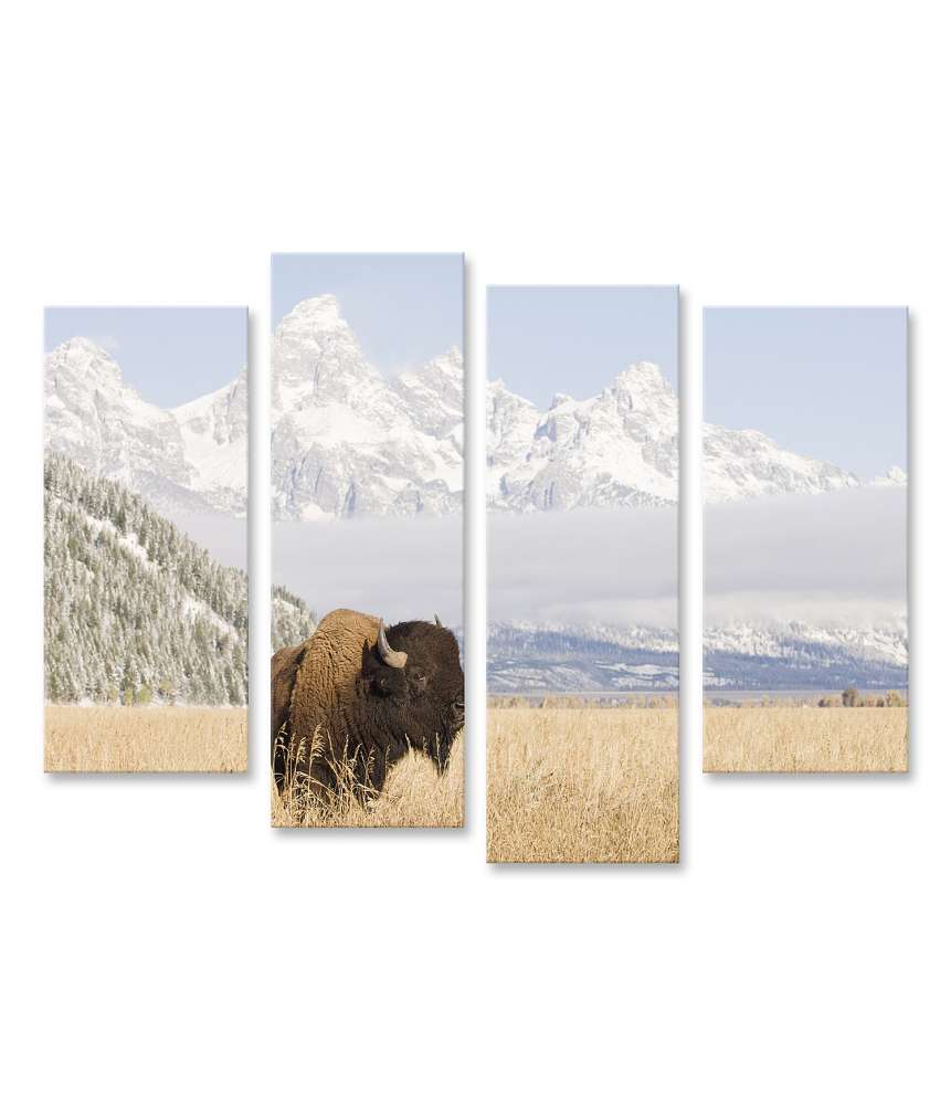 Islandburner Bild auf Leinwand Majestätisches Wandbild eines Bisons vor den Grand Teton Bergen