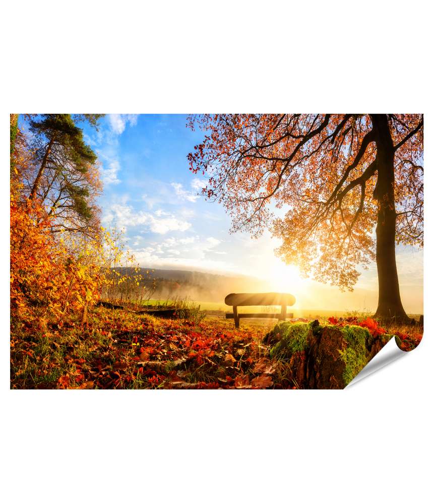 Islandburner XXL Premium Poster Sonnendurchflutete Herbstlandschaft mit einer Bank unter einem Baum