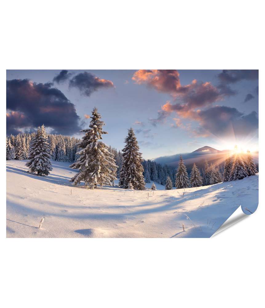 Islandburner XXL Premium Poster Malerischer Winter-Sonnenaufgang mit schneebedeckten Bäumen