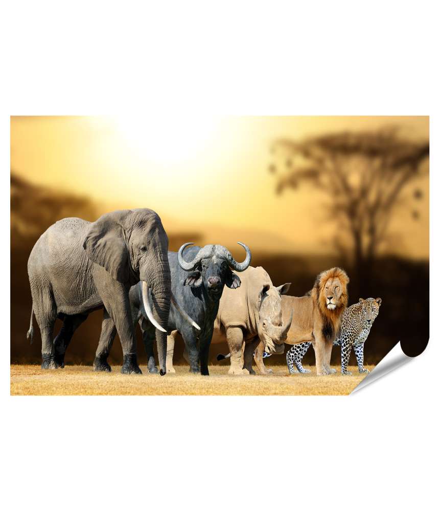 Islandburner XXL Premium Poster Big Five Afrika-Wandbild für Kinder/Jugendzimmer: Löwe, Elefant, Leopard, Büffel, Nashorn