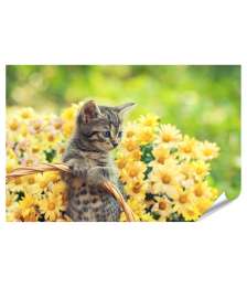 XXL Premium Poster Entzückendes Wandbild eines jungen Kätzchens in einem blumenreichen Garten