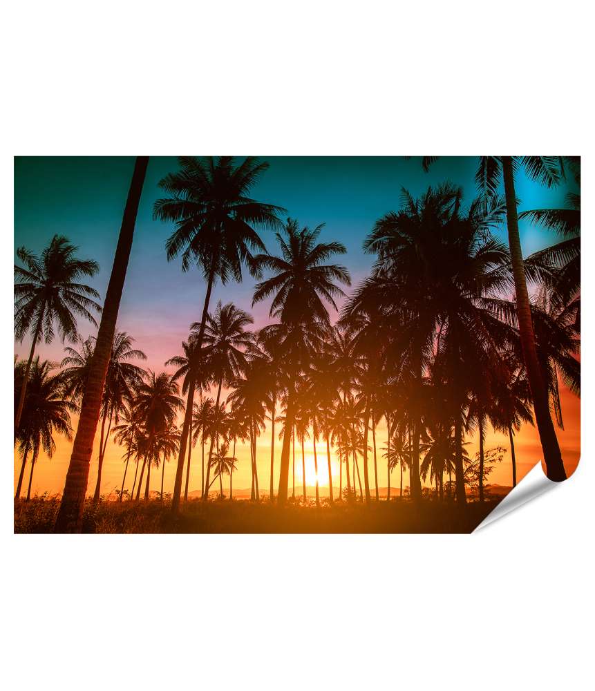 Islandburner XXL Premium Poster Vintage-Silhouette von Kokosnusspalmen am Strand bei Sonnenuntergang