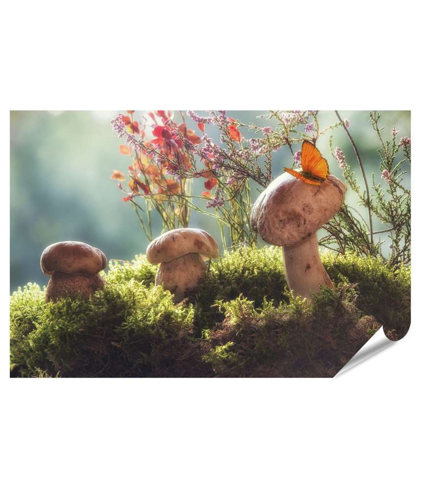 Islandburner XXL Premium Poster Herbstliches Stillleben mit Pilzen und Blumen: Waldkunst Fotografie Wandbild