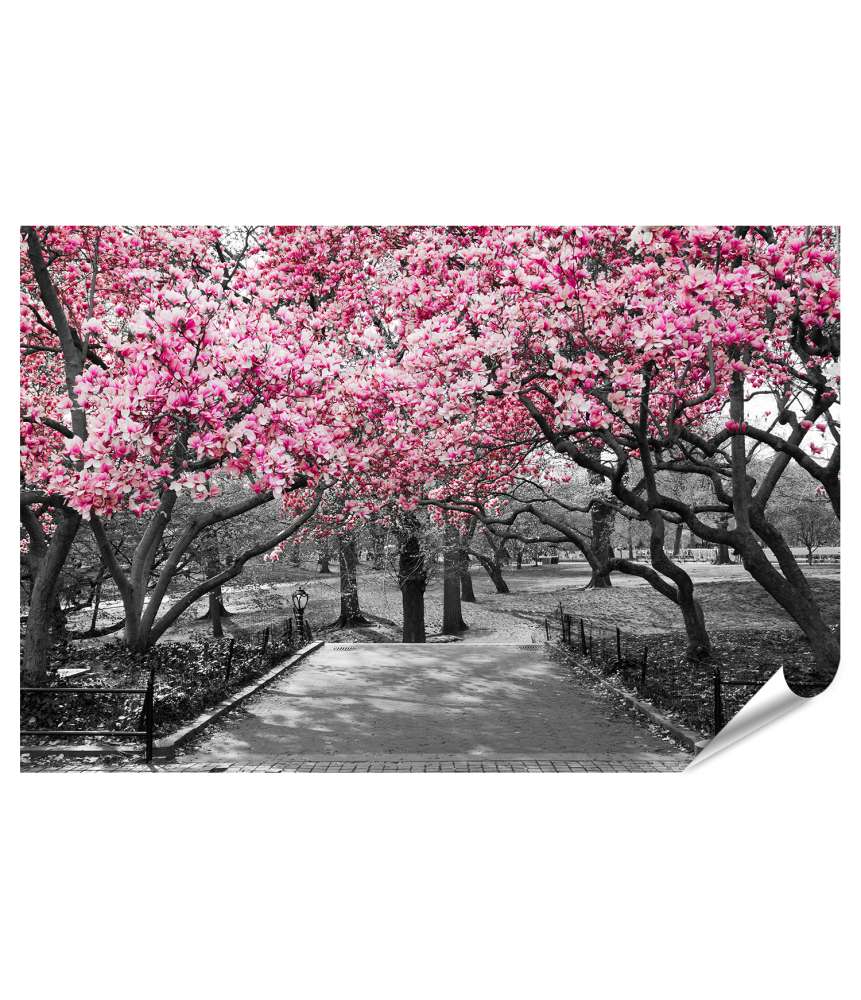 Islandburner XXL Premium Poster New York City in Schwarz-Weiß mit rosa Blüten