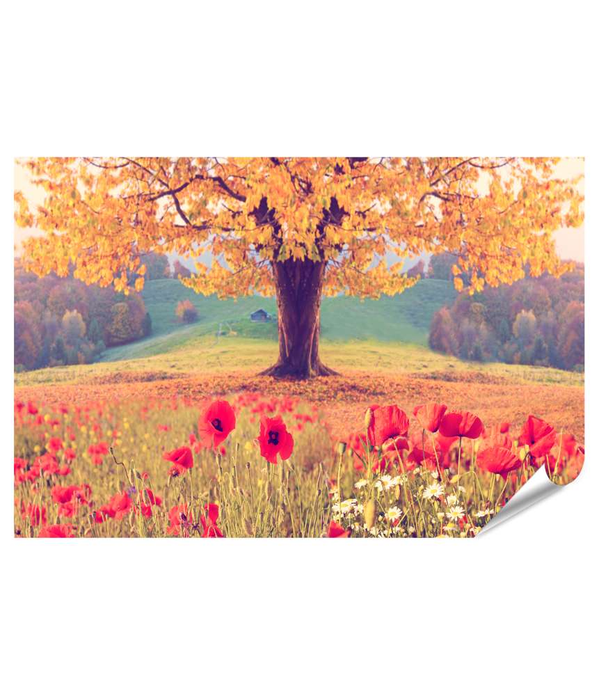 Islandburner XXL Premium Poster Herbstliche Landschaft mit Mohnblumen und Baum in wundervollen Farben