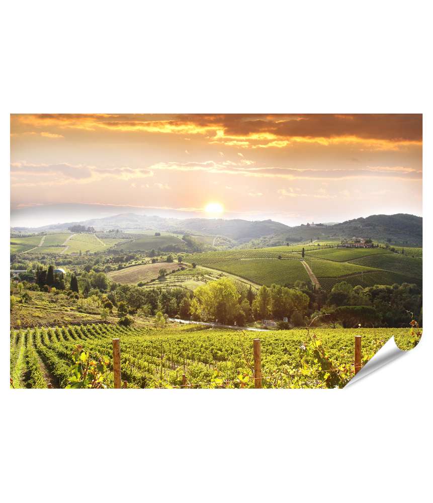 Islandburner XXL Premium Poster Idyllische Chianti-Weinberg-Landschaft in der Toskana, Italien