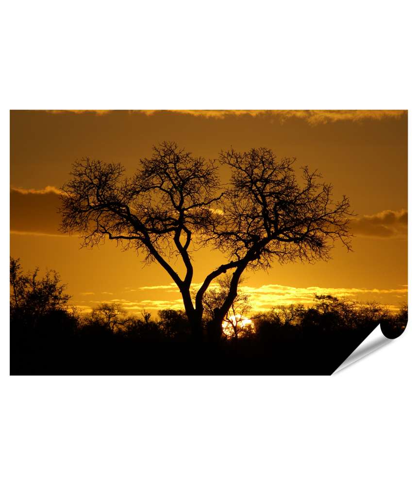 Islandburner XXL Premium Poster Beeindruckendes Wandbild eines atemberaubenden afrikanischen Sonnenuntergangs