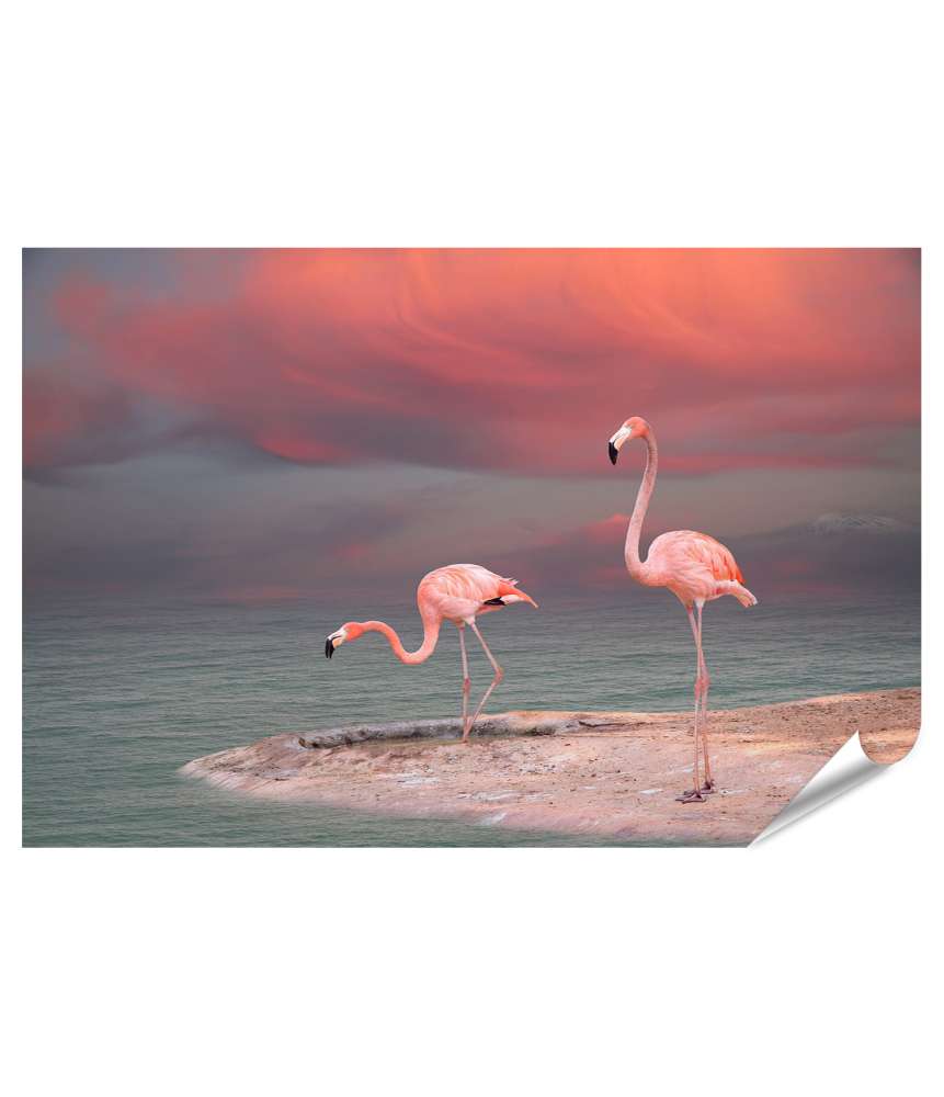 Islandburner XXL Premium Poster Charmantes Wandbild mit rosafarbenem Flamingo, Modell 13A