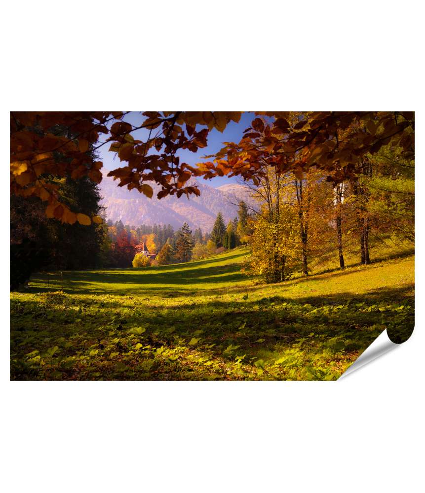 Islandburner XXL Premium Poster Wandbild im Peles Schlosspark, Sinaia, Siebenbürgen, Rumänien