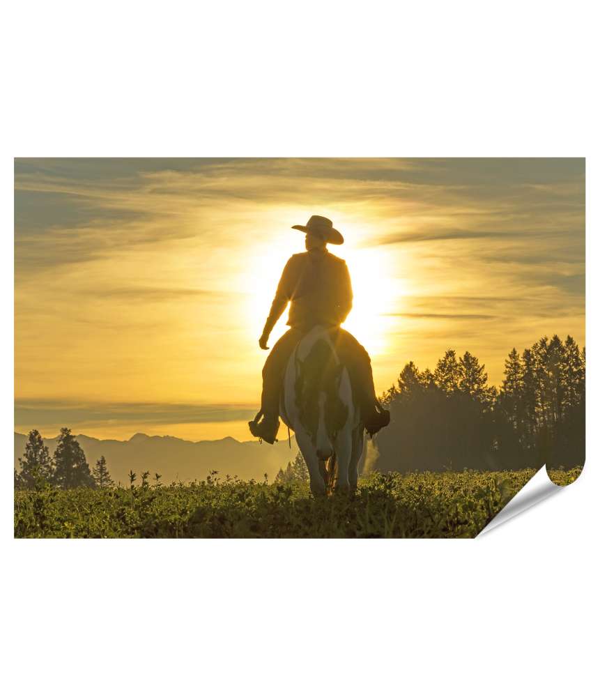 Islandburner XXL Premium Poster Frühmorgens reitet ein Cowboy über Grasland, Berge und Sonne im Hintergrund