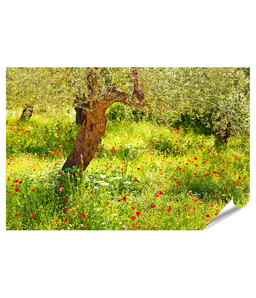 Islandburner XXL Premium Poster Lebendiges Wandbild einer Mohnblumenwiese mit prächtigem Baum