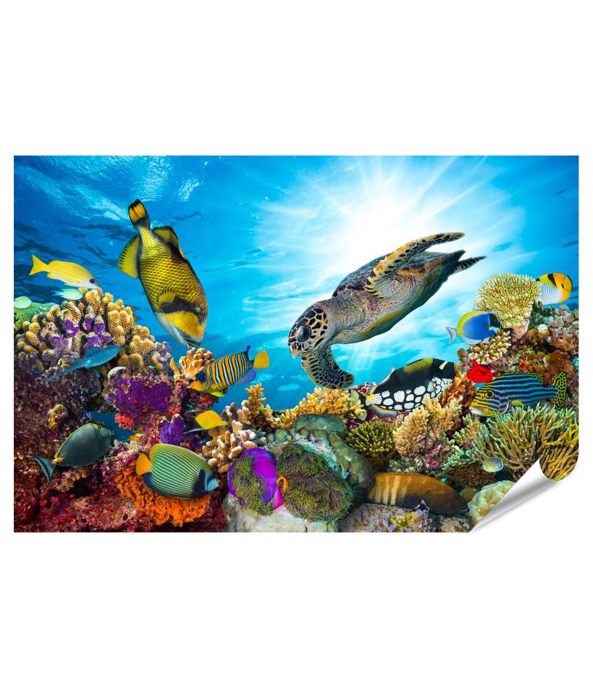 Islandburner XXL Premium Poster Lebhaftes Wandbild mit farbenfrohem Korallenriff, Fischschwärmen und Meeresschildkröte