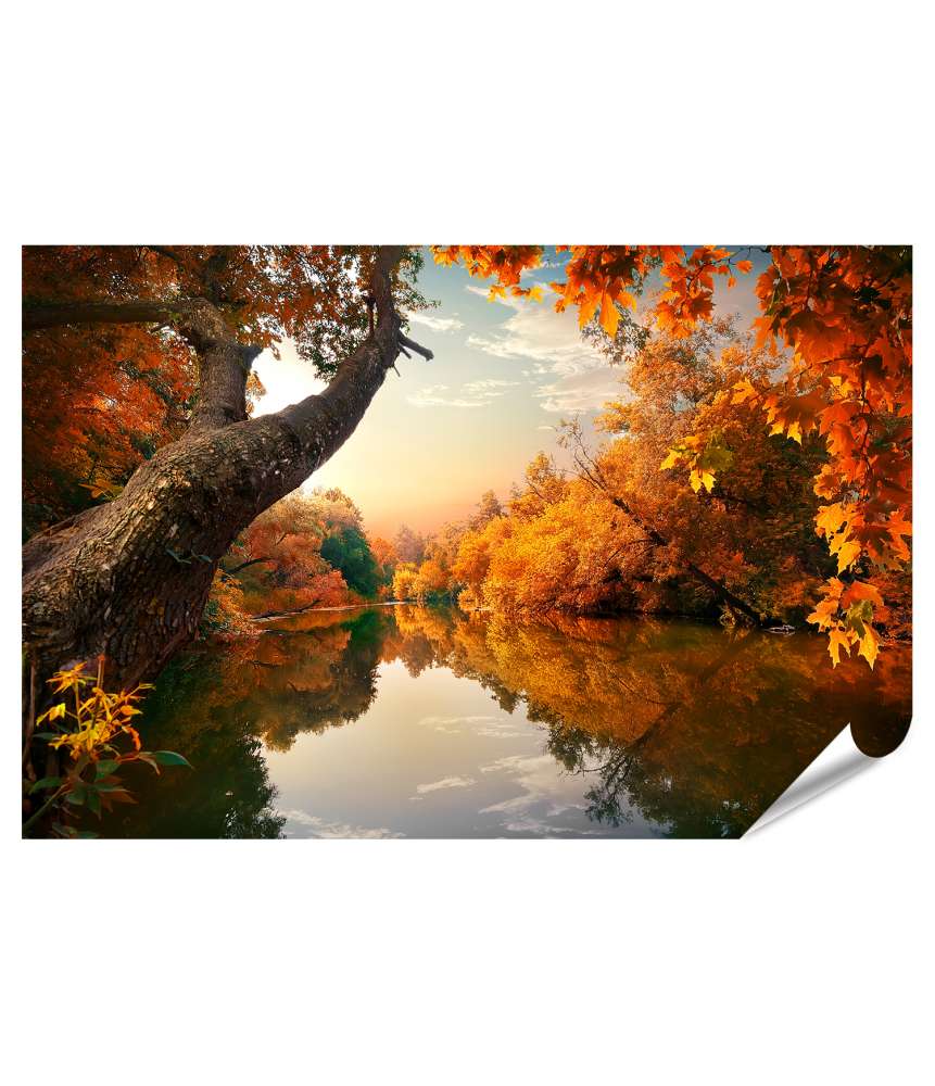 Islandburner XXL Premium Poster Herbstlicher Wald mit orangefarbenem Fluss, Wandbild 130A